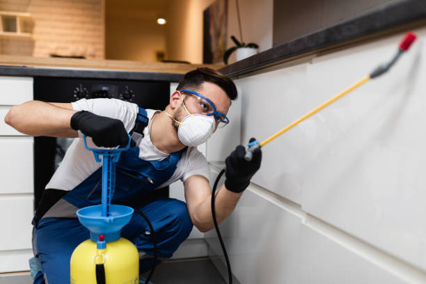 Best Pest Control Near Me in Milmay, NJ