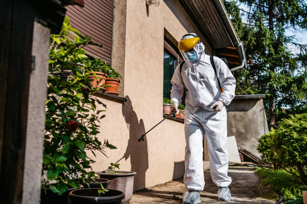 Best Rodent Control Near Me  in Milmay, NJ