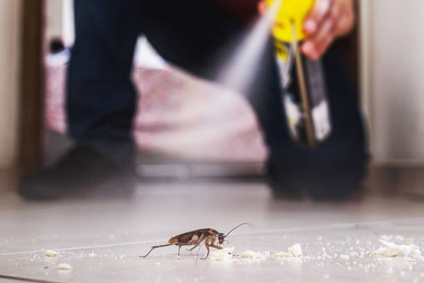 Professional Pest Control in Milmay, NJ